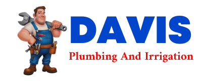 Trusted plumber in RED OWL